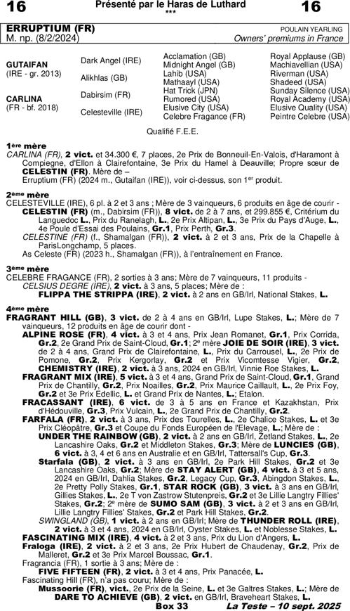 Miniature pedigree