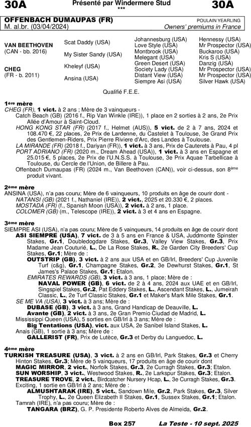 Miniature pedigree