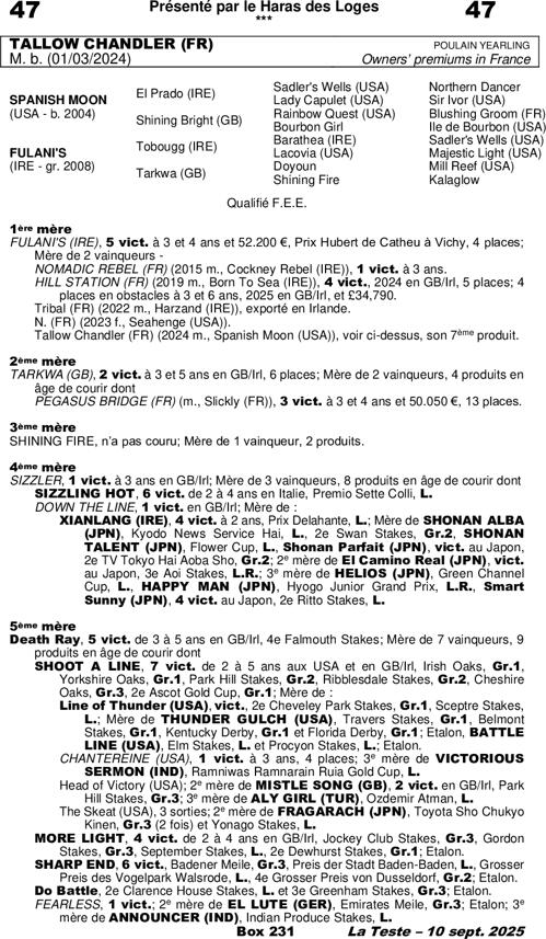 Miniature pedigree