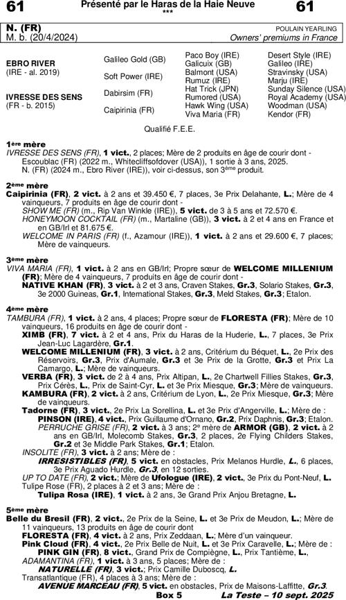 Miniature pedigree