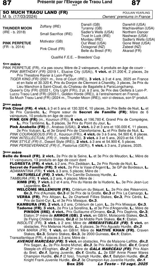 Miniature pedigree