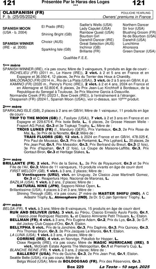 Miniature pedigree