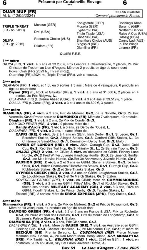 Miniature pedigree