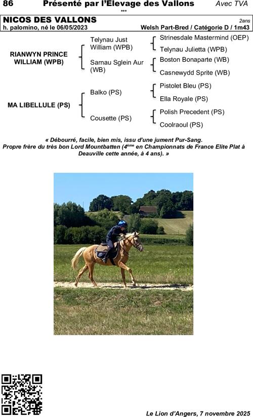 Miniature pedigree