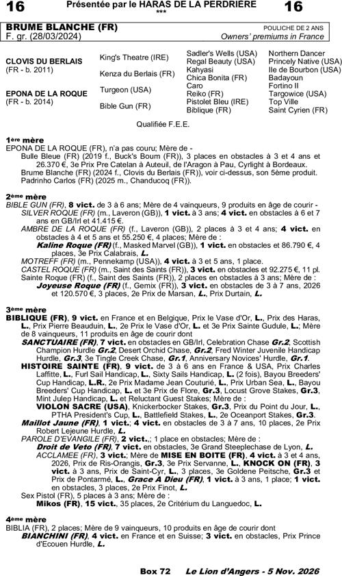 Miniature pedigree