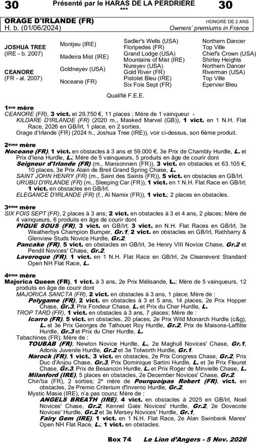 Miniature pedigree