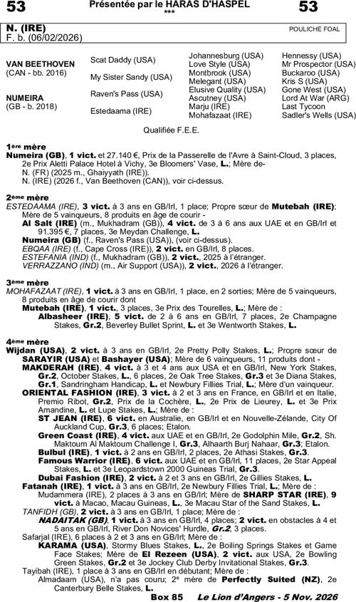 Miniature pedigree