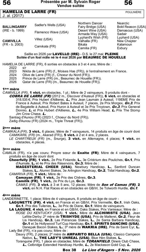 Miniature pedigree
