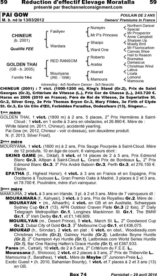 Miniature pedigree