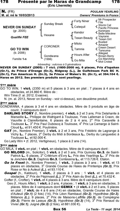 Miniature pedigree