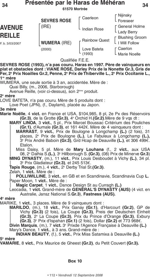 Miniature pedigree