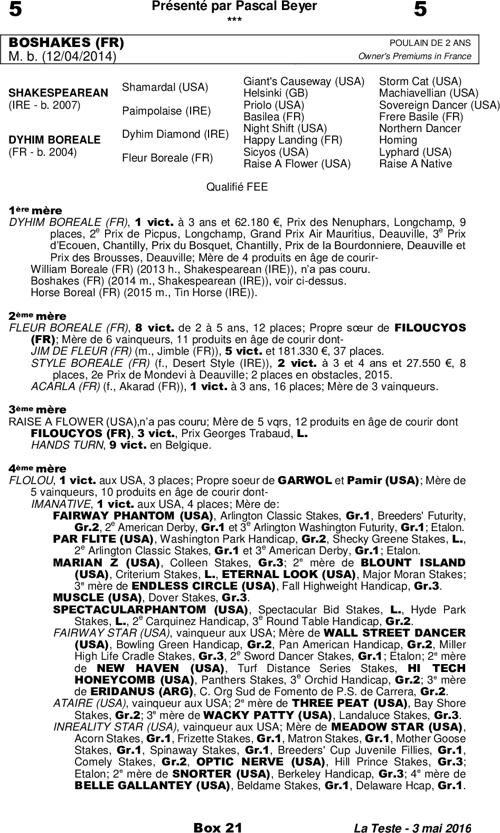 Miniature pedigree