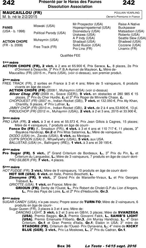 Miniature pedigree