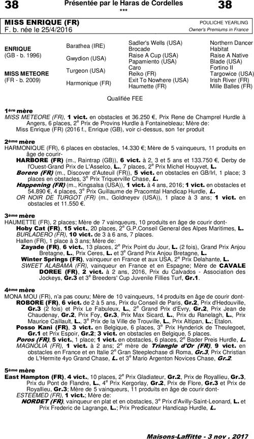 Miniature pedigree