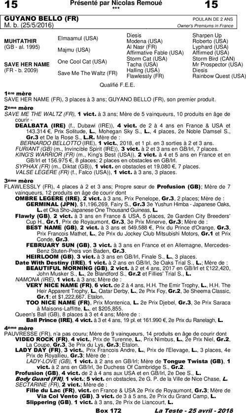 Miniature pedigree